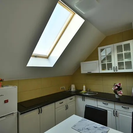 Akacjowa Villa106 Nedza