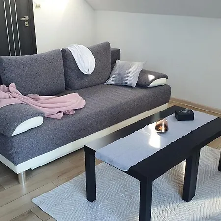 Akacjowa Villa106 Nedza