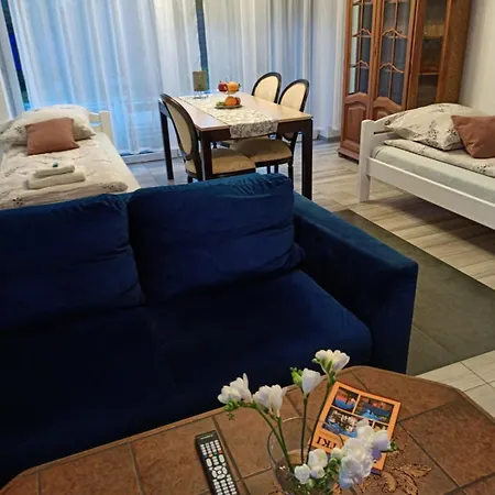 Akacjowa Villa106 Nedza